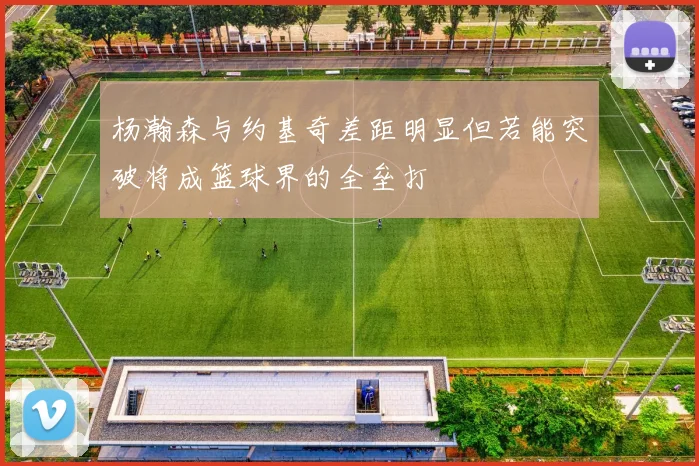 杨瀚森与约基奇差距明显但若能突破将成篮球界的全垒打